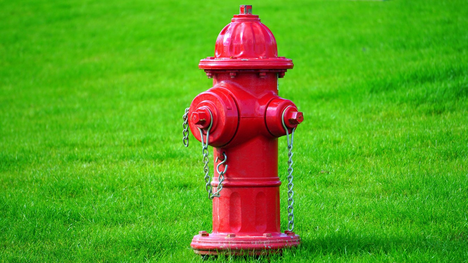 Bright red fire hydrant standing on a lush green lawn, perfect for summer scenes.
